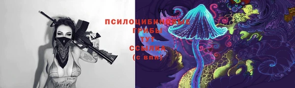 соль курить ск Лабытнанги