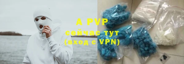 ПСИЛОЦИБИНОВЫЕ ГРИБЫ Нижний Тагил