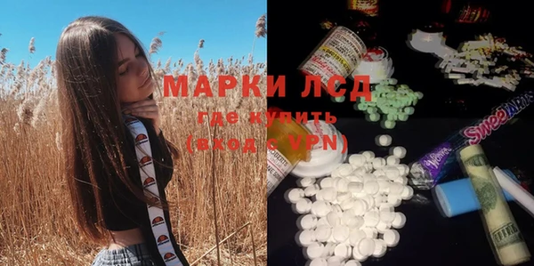 ПСИЛОЦИБИНОВЫЕ ГРИБЫ Нижний Тагил