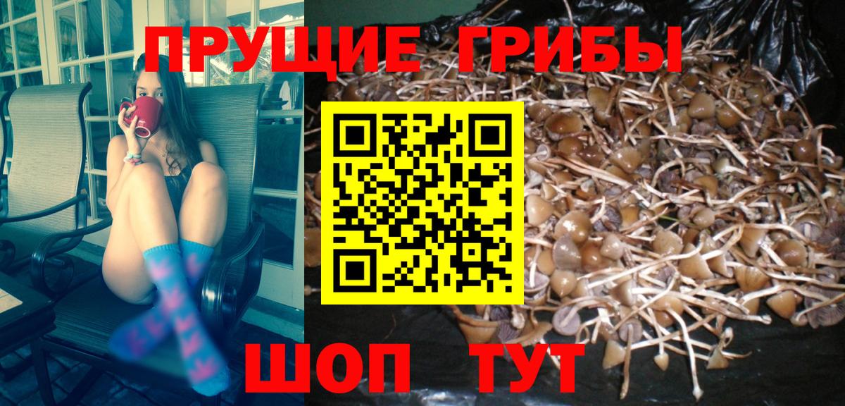 Галлюциногенные грибы MAGIC MUSHROOMS  Галлюциногенные грибы GOLDEN TEACHER  Североморск  Вход с VPN 